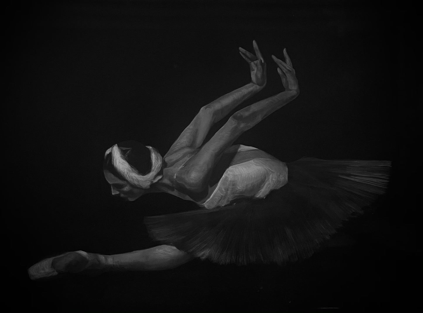 Dying Swan Ballet
