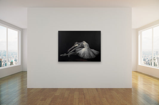 Dying Swan Ballet ||